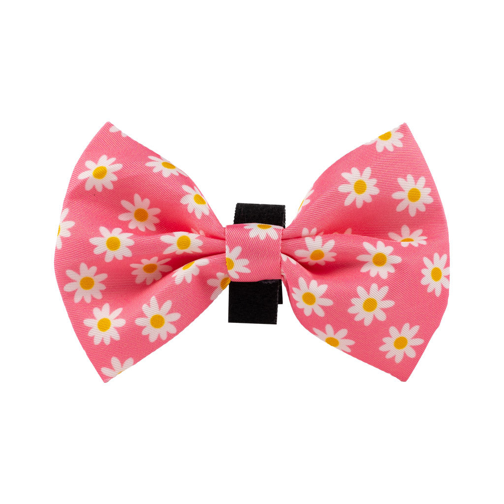 Pink Daisy Pattern Bow Tie