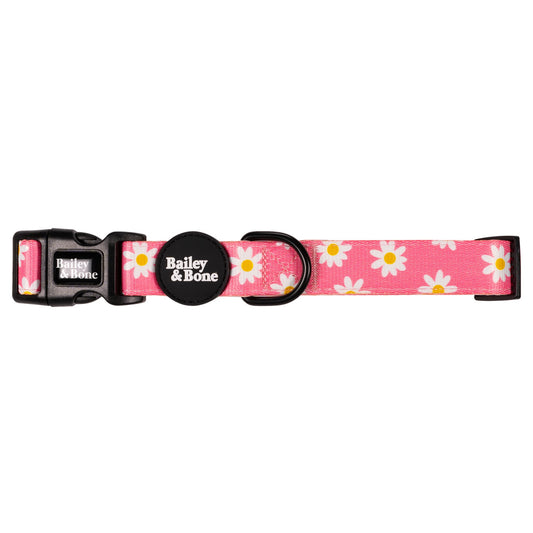 Pink Daisy Pattern Dog Collar