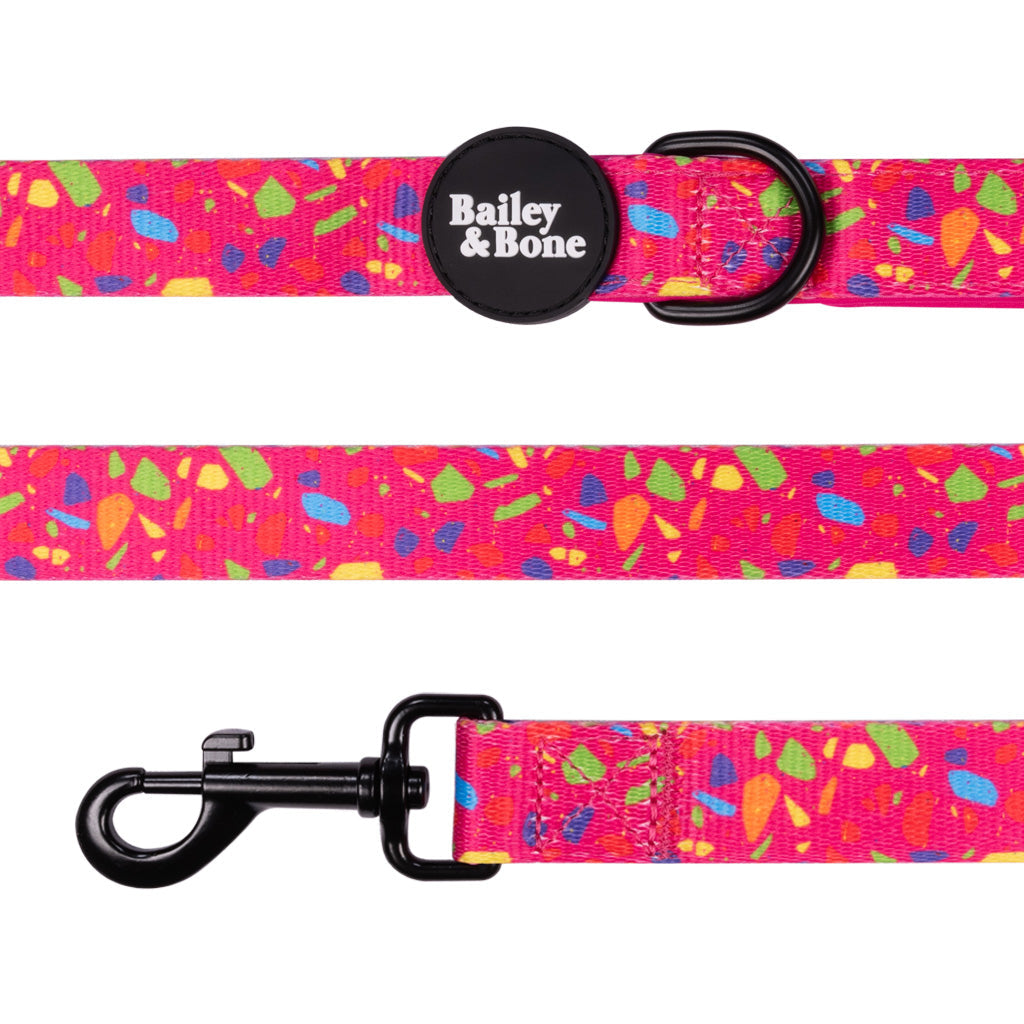 Bailey And Bone Pet Lead Rainbow Terrazzo Lead