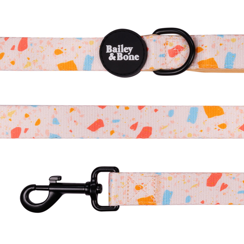 Bailey And Bone Pet Lead Summer Terrazzo Lead