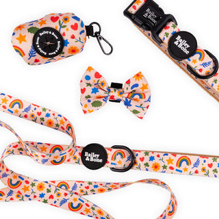 Bailey And Bone Walk Bundle Cute Summer Shapes Walk Set