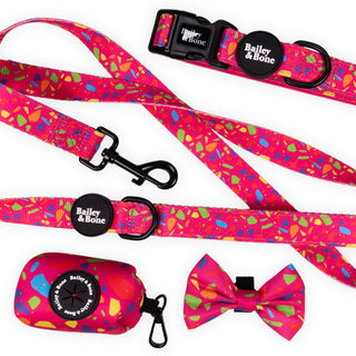 Bailey And Bone Walk Set Rainbow Terrazzo Walk Set
