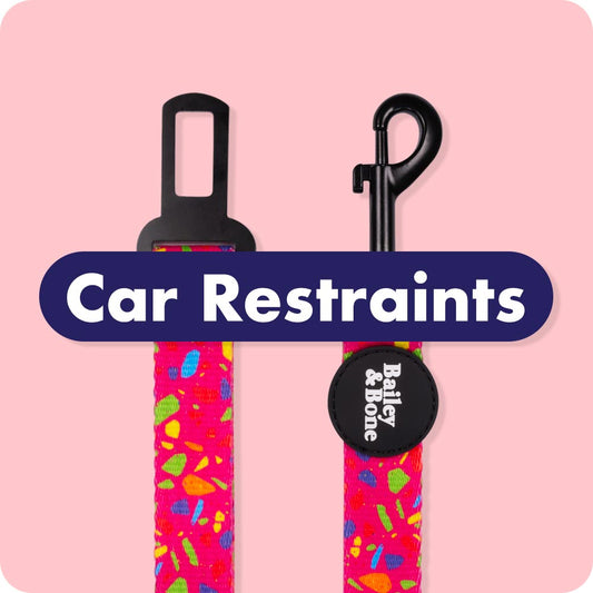 Car Restraints