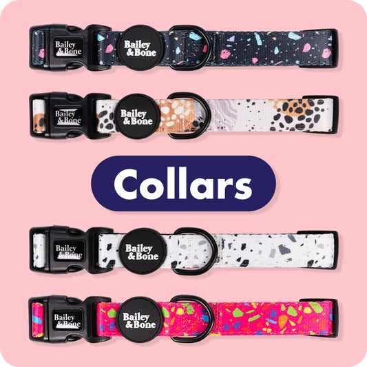 Dog Collars