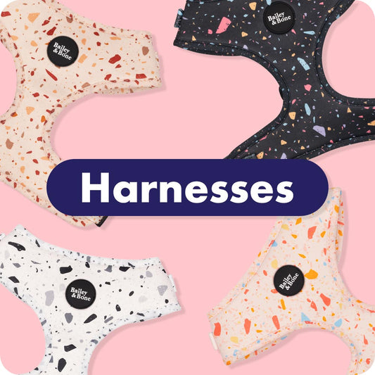 Dog Harnesses