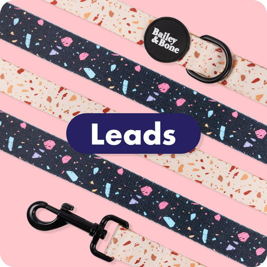 All Leads