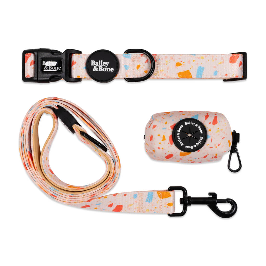 Summer Terrazzo Collar And Lead Bundle