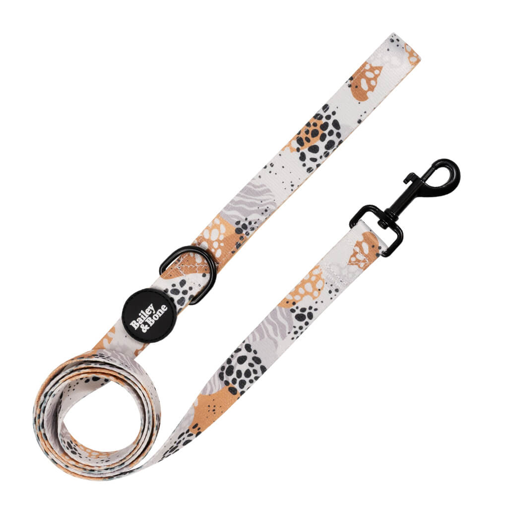 Abstract Safari Lead
