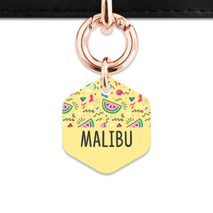 Bailey And Bone Pet ID Tag Pastel Summer Vibes Pet Tag
