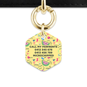 Bailey And Bone Pet ID Tag Pastel Summer Vibes Pet Tag