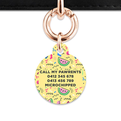 Bailey And Bone Pet ID Tag Pastel Summer Vibes Pet Tag