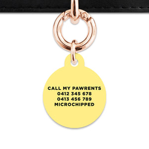 Bailey And Bone Pet ID Tag Pastel Yellow Hello My Name Is Pet Tag