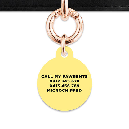 Bailey And Bone Pet ID Tag Pastel Yellow Hello My Name Is Pet Tag