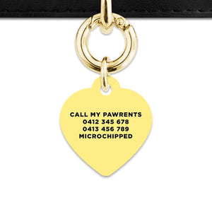 Bailey And Bone Pet ID Tag Pastel Yellow Hello My Name Is Pet Tag