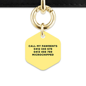 Bailey And Bone Pet ID Tag Pastel Yellow Hello My Name Is Pet Tag