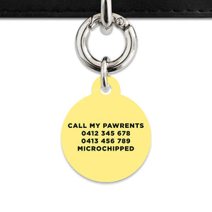 Bailey And Bone Pet ID Tag Pastel Yellow Hello My Name Is Pet Tag