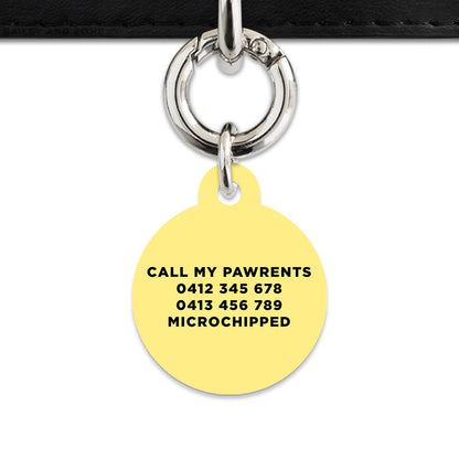 Bailey And Bone Pet ID Tag Pastel Yellow Hello My Name Is Pet Tag