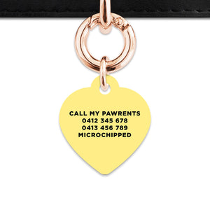 Bailey And Bone Pet ID Tag Pastel Yellow Hello My Name Is Pet Tag