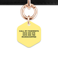 Bailey And Bone Pet ID Tag Pastel Yellow Hello My Name Is Pet Tag