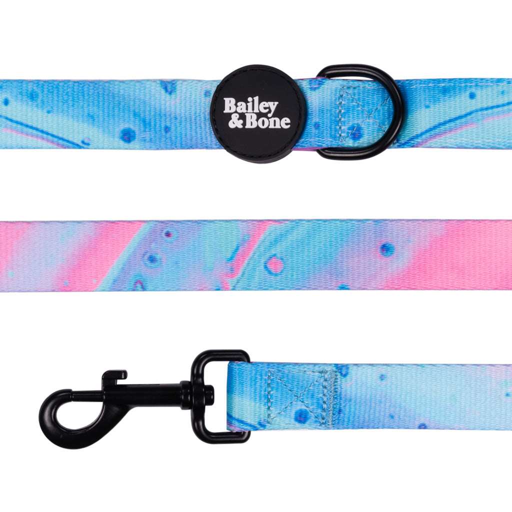 Bailey And Bone Pet Lead Blue And Purple Marble Lead