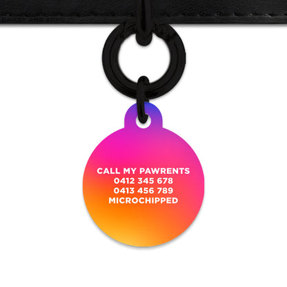 Bailey And Bone Pet Tag Sunset Gradient Pet Tag