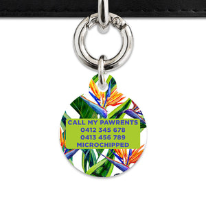 Bailey & Bone Pet ID Tag Bird Of Paradise Pet Tag