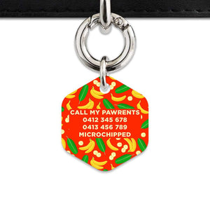 Bailey&Bone Pet Tag Bananas Pattern Pet Tag