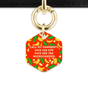 Bailey&Bone Pet Tag Bananas Pattern Pet Tag