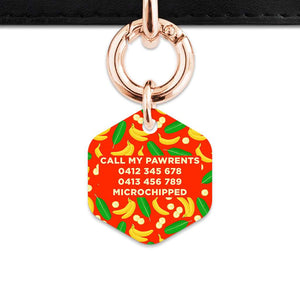 Bailey&Bone Pet Tag Bananas Pattern Pet Tag
