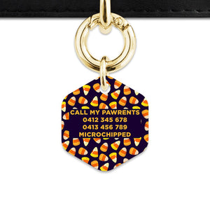 Bailey & Bone Pet Tag Candy Corn Pattern Pet Tag