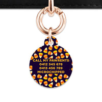 Bailey & Bone Pet Tag Candy Corn Pattern Pet Tag