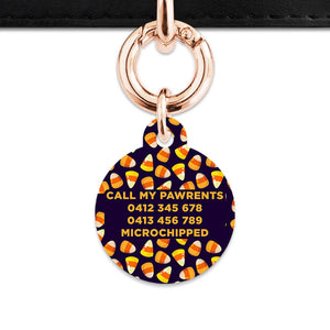 Bailey & Bone Pet Tag Candy Corn Pattern Pet Tag