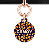 Bailey & Bone Pet Tag Candy Corn Pattern Pet Tag