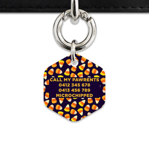 Bailey & Bone Pet Tag Candy Corn Pattern Pet Tag