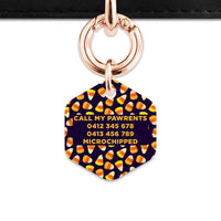 Bailey & Bone Pet Tag Candy Corn Pattern Pet Tag