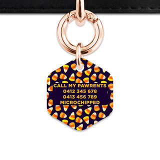 Bailey & Bone Pet Tag Candy Corn Pattern Pet Tag