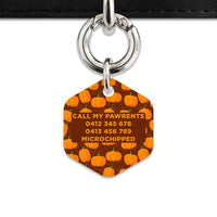 Bailey & Bone Pet Tag Pumpkin Pattern Pet Tag