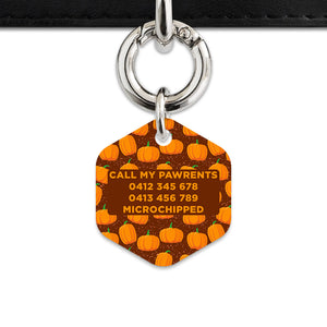 Bailey & Bone Pet Tag Pumpkin Pattern Pet Tag
