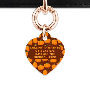 Bailey & Bone Pet Tag Pumpkin Pattern Pet Tag