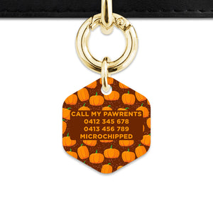 Bailey & Bone Pet Tag Pumpkin Pattern Pet Tag
