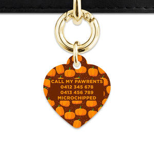 Bailey & Bone Pet Tag Pumpkin Pattern Pet Tag