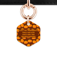 Bailey & Bone Pet Tag Pumpkin Pattern Pet Tag