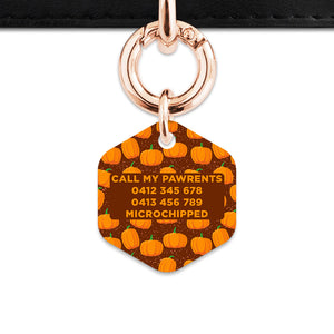 Bailey & Bone Pet Tag Pumpkin Pattern Pet Tag