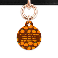Bailey & Bone Pet Tag Pumpkin Pattern Pet Tag
