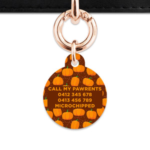 Bailey & Bone Pet Tag Pumpkin Pattern Pet Tag