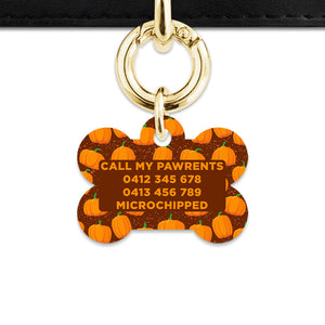 Bailey & Bone Pet Tag Pumpkin Pattern Pet Tag