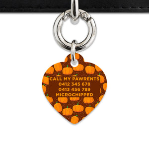 Bailey & Bone Pet Tag Pumpkin Pattern Pet Tag