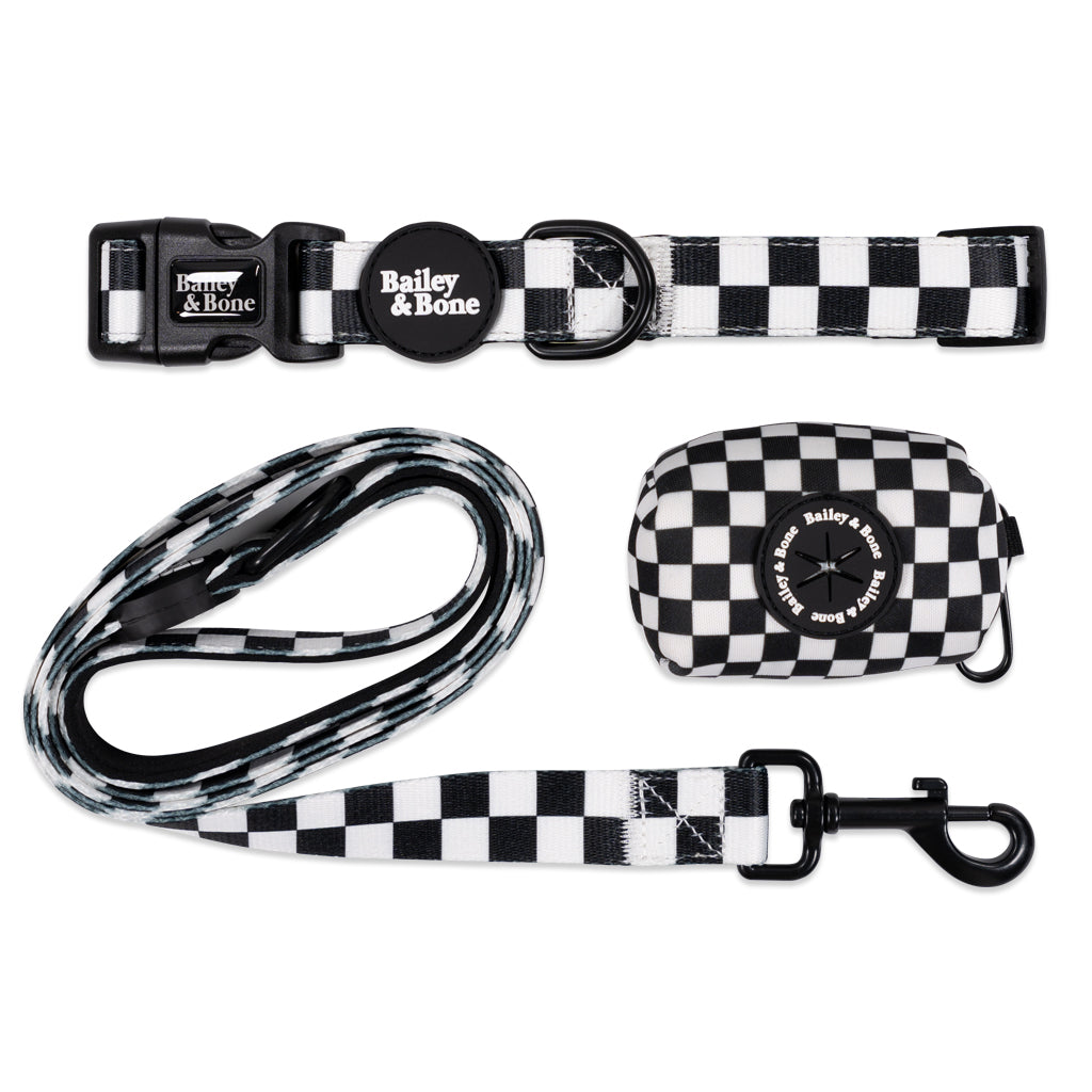 Black And White Checkers Collar And Lead Bundle