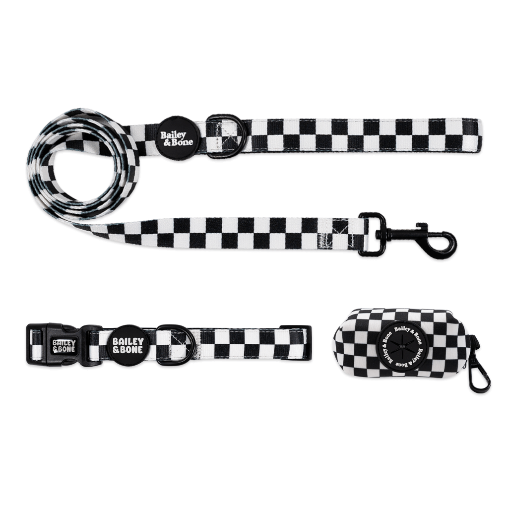 Black And White Checkers Collar And lead Bundle