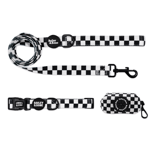 Black And White Checkers Collar And lead Bundle